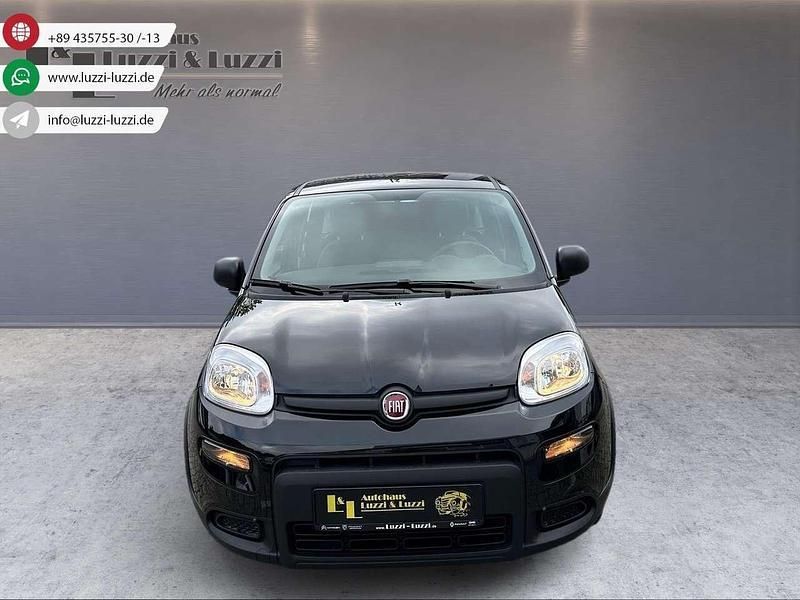 Cinema schwarz Neu 2024 Fiat Panda Kleinwagen | 13.490 € (Guter Preis) - Bild 1/3