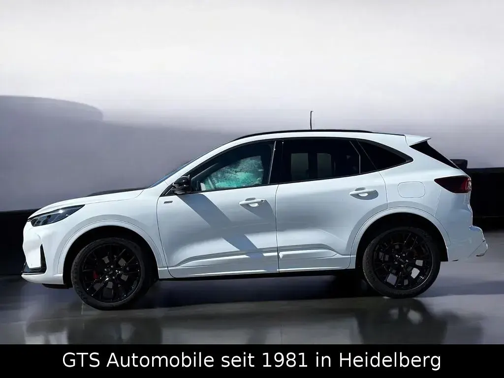 Gebraucht Ford Kuga ST-Line X 186 PS (136 kW) 2026 Weiß SUV
