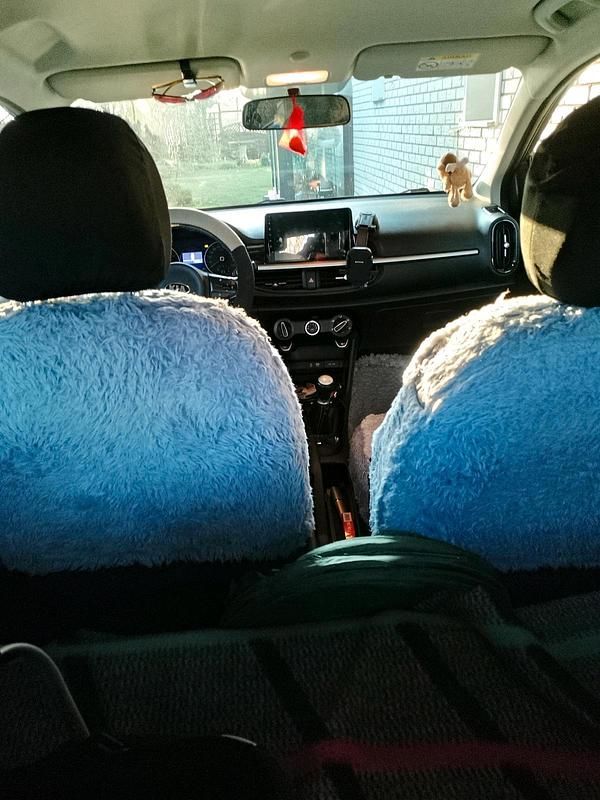 Gebraucht Kia Picanto 84 PS (61 kW) 2018 Grau Kleinwagen