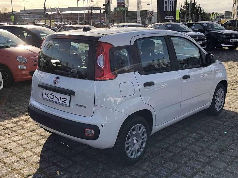 Gebraucht Fiat Panda 69 PS (50 kW) 2026 Gelato weiß dach schwarz (weis Kleinwagen