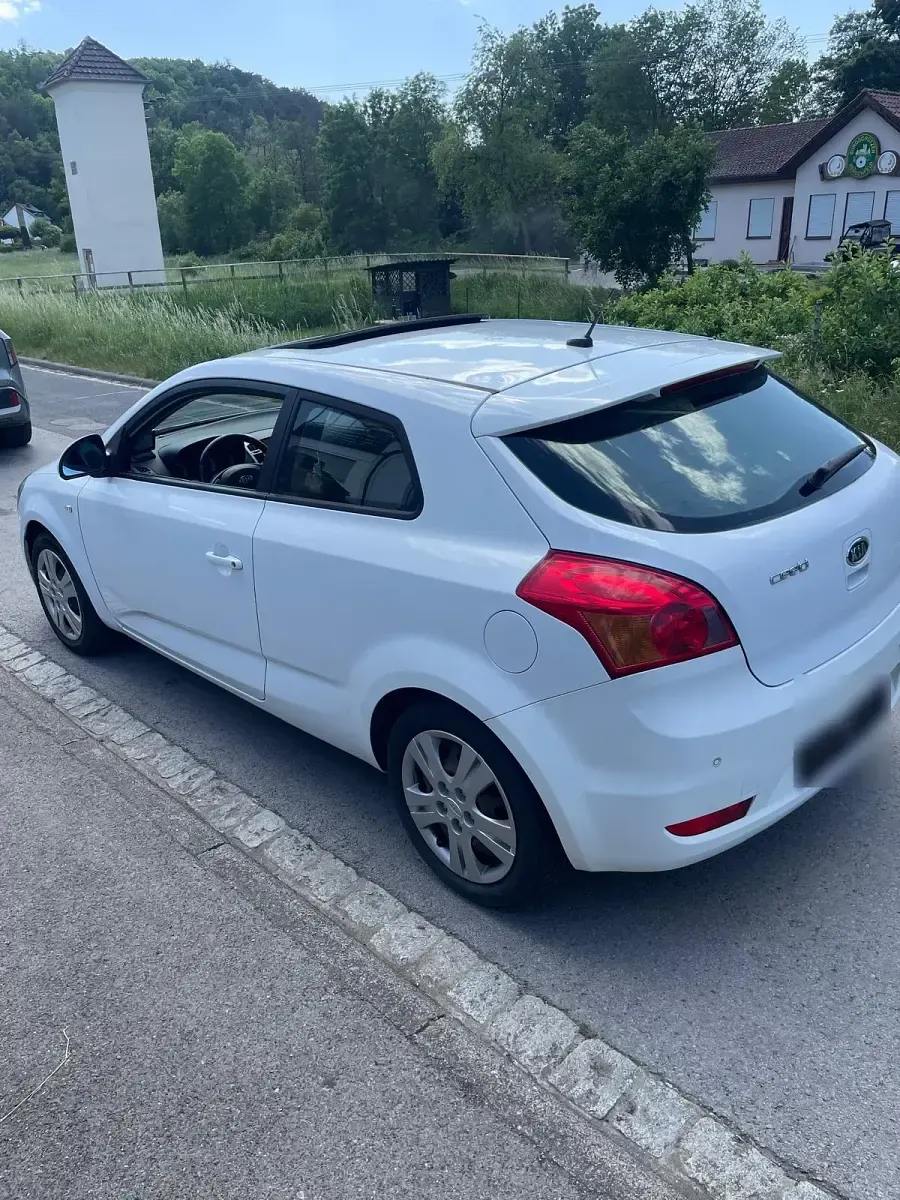 Gebraucht Kia Ceed 126 PS (92 kW) 2009 Weiß Kleinwagen