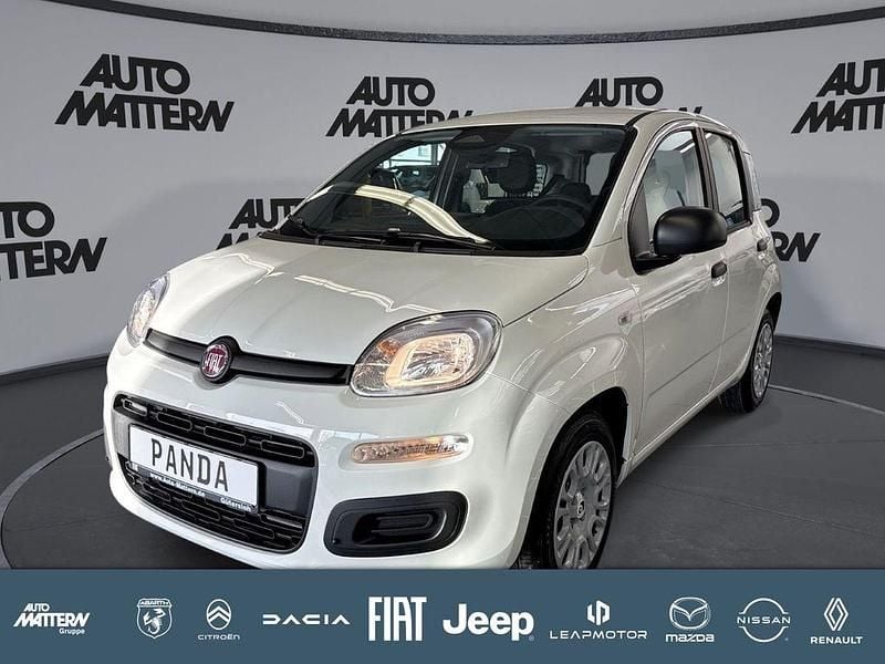 Neu Fiat Panda Icon 65 PS (47 kW) 2026 Weiß Kleinwagen