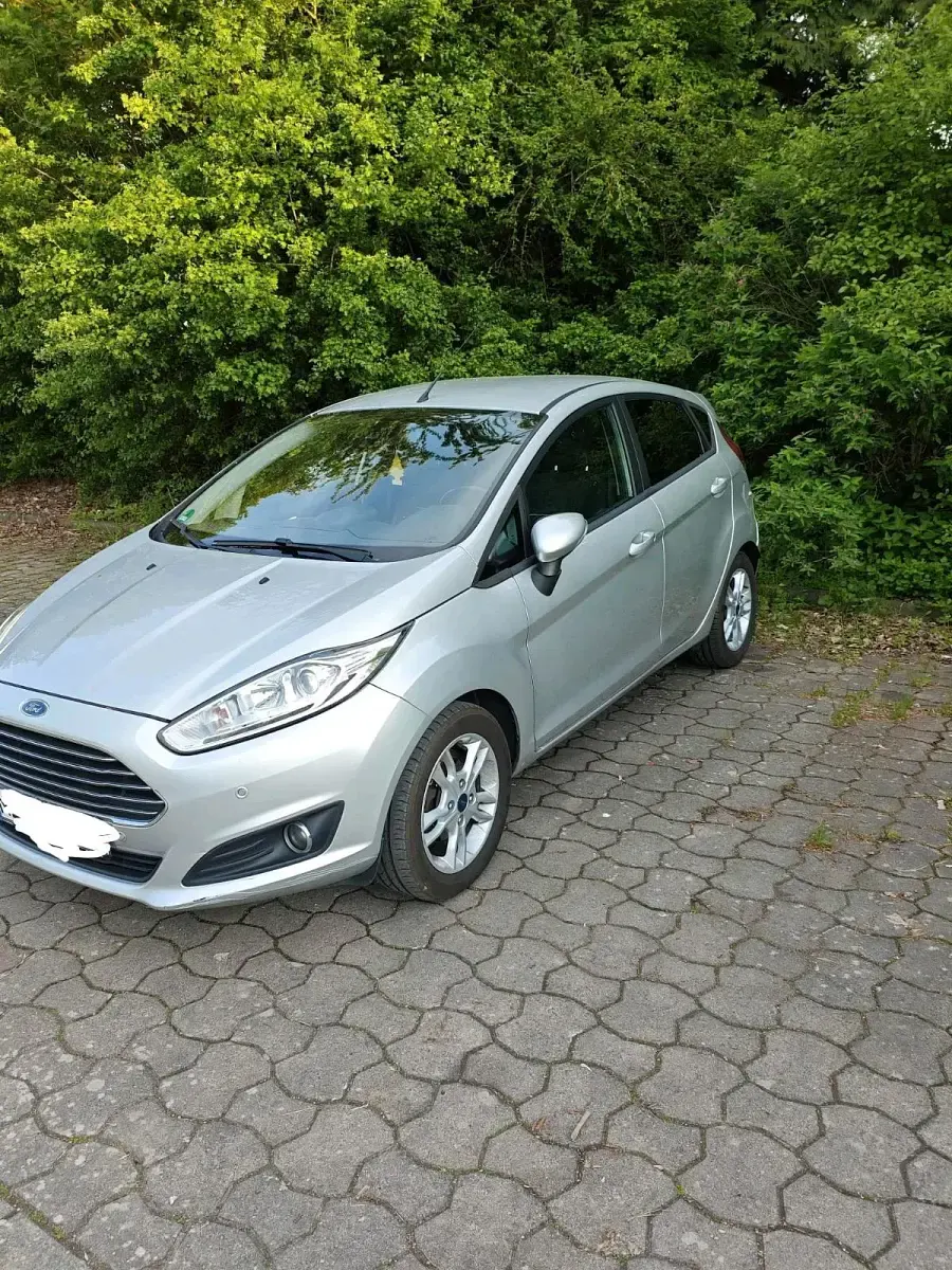 Gebraucht Ford Fiesta 100 PS (73 kW) 2015 Grau Kleinwagen