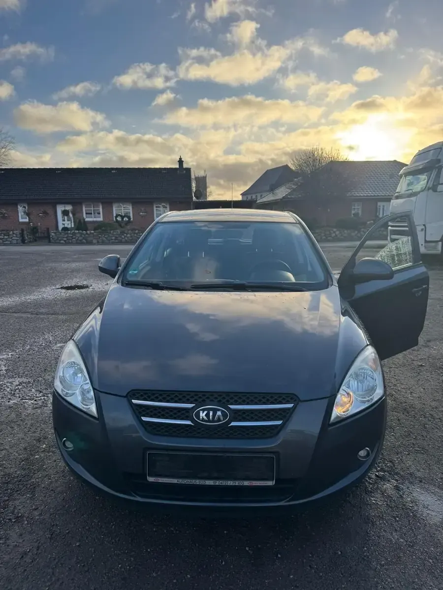Usata Kia Ceed Start 109 CV (80 kW) 2009 Grigio Utilitaria