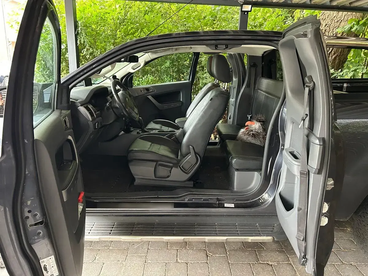 Gebraucht Ford Ranger Limited 160 PS (117 kW) 2016 Grau Pickup
