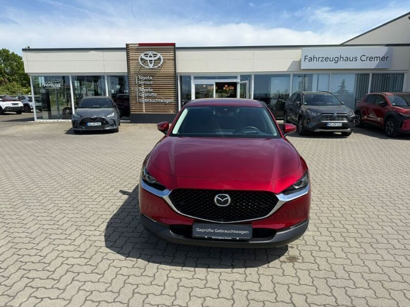 Gebraucht Mazda CX-30 Selection 122 PS (89 kW) 2019 Rot SUV