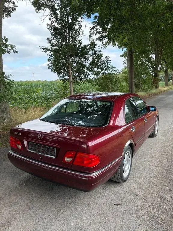 Gebraucht Mercedes E200 Elegance 136 PS (100 kW) 1998 Rot Limousine