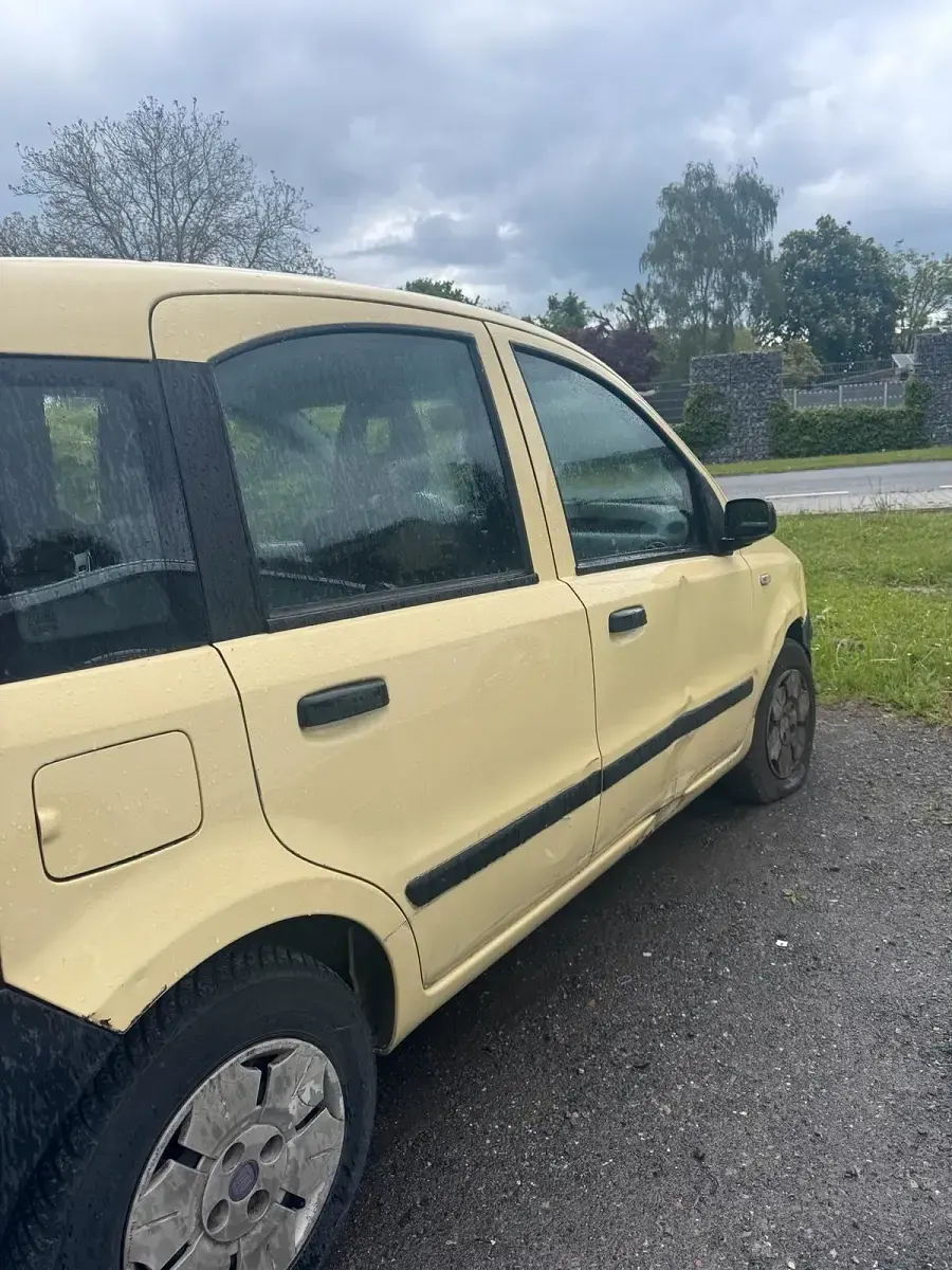 Occasion Fiat Panda 2009 Citadine