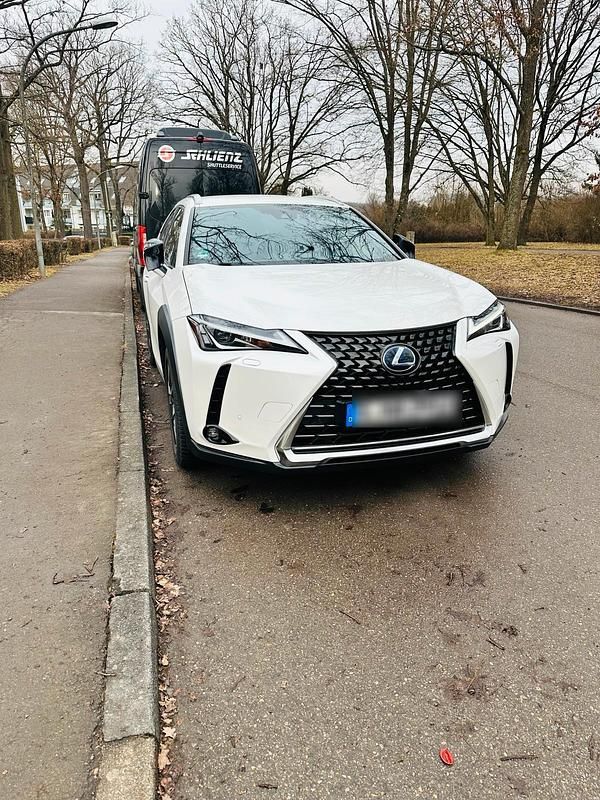 Gebraucht Lexus UX 250h 184 PS (135 kW) 2021 Weiß SUV