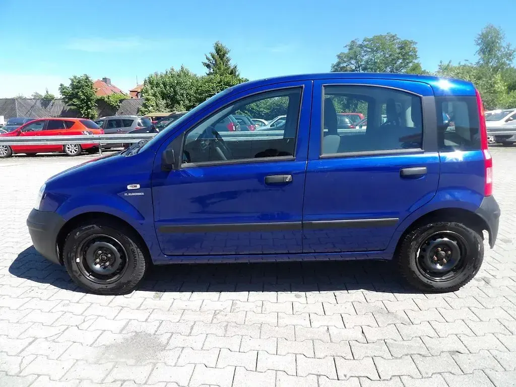 Gebraucht Fiat Panda Active 54 PS (39 kW) 2009 Blau Kleinwagen
