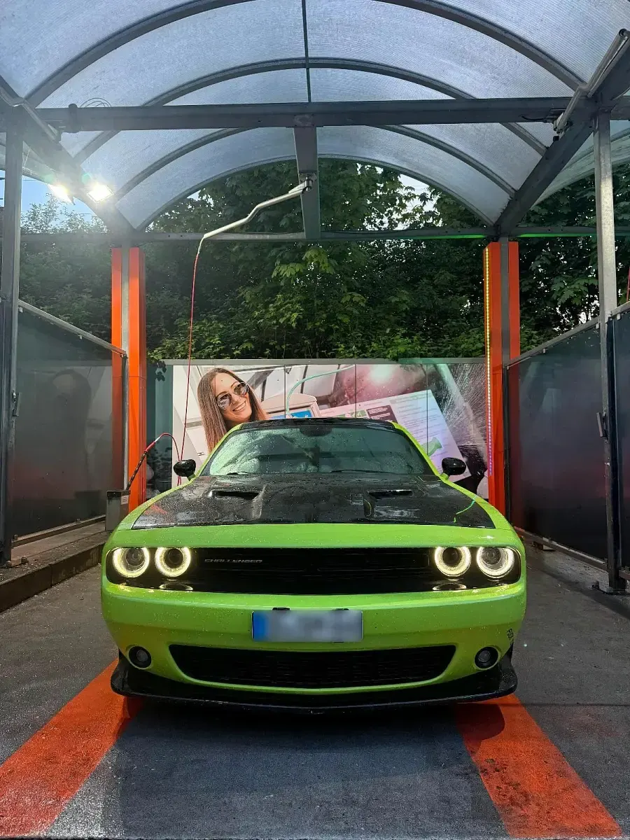 Gebraucht Dodge Challenger 492 PS (361 kW) 2016 Grün Coupé