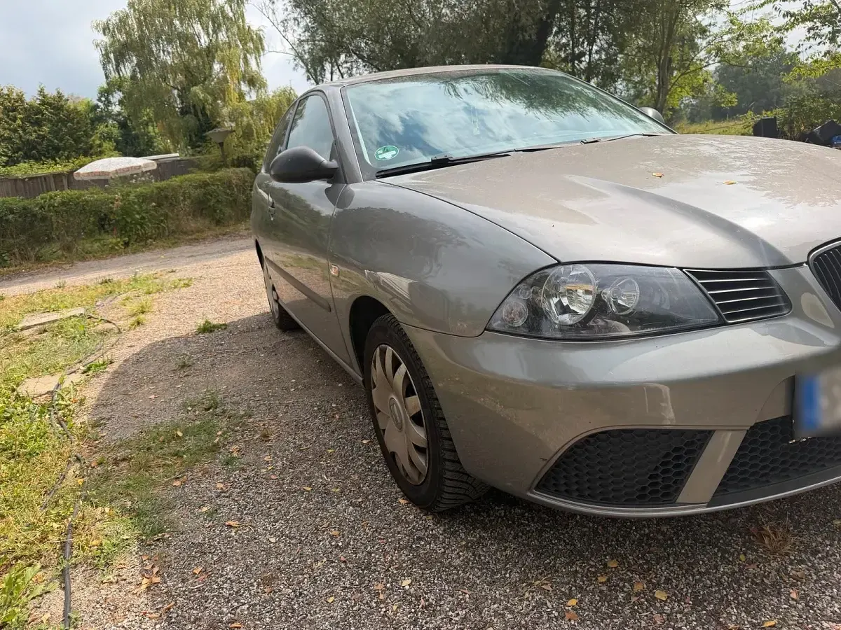 Gebraucht Seat Ibiza 105 PS (77 kW) 2007 Grau Kleinwagen