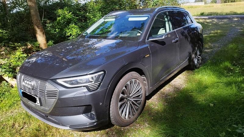 Gebraucht Audi e-tron Advanced 230 kW (313 PS) 2020 Grau SUV