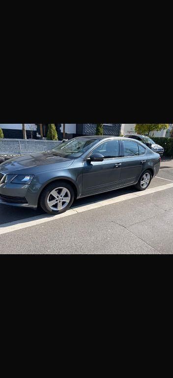 Grau Gebraucht 2018 Skoda Octavia Limousine | 12.500 € (Fairer Preis) - Bild 1/4