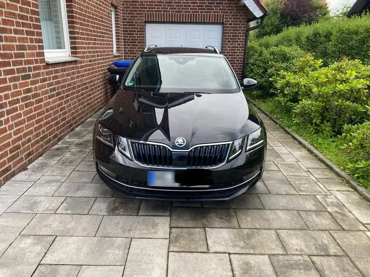 Gebraucht Skoda Octavia 2019 Schwarz Kombi