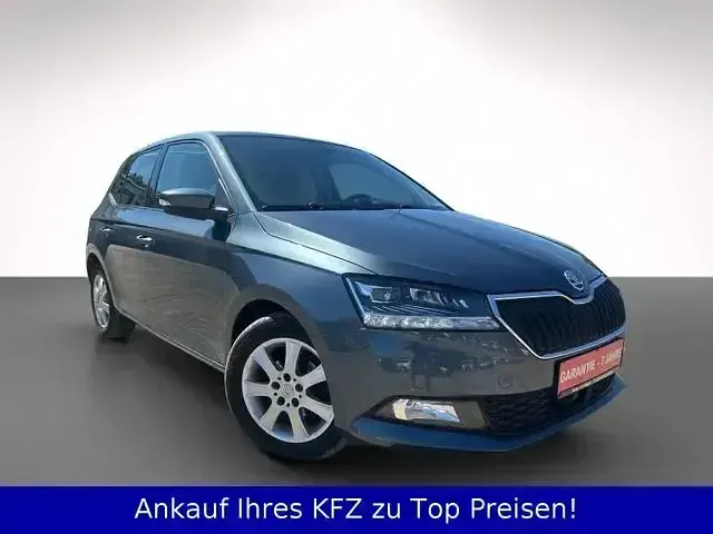 Gebraucht Skoda Fabia Style 95 PS (69 kW) 2020 Grau Kleinwagen