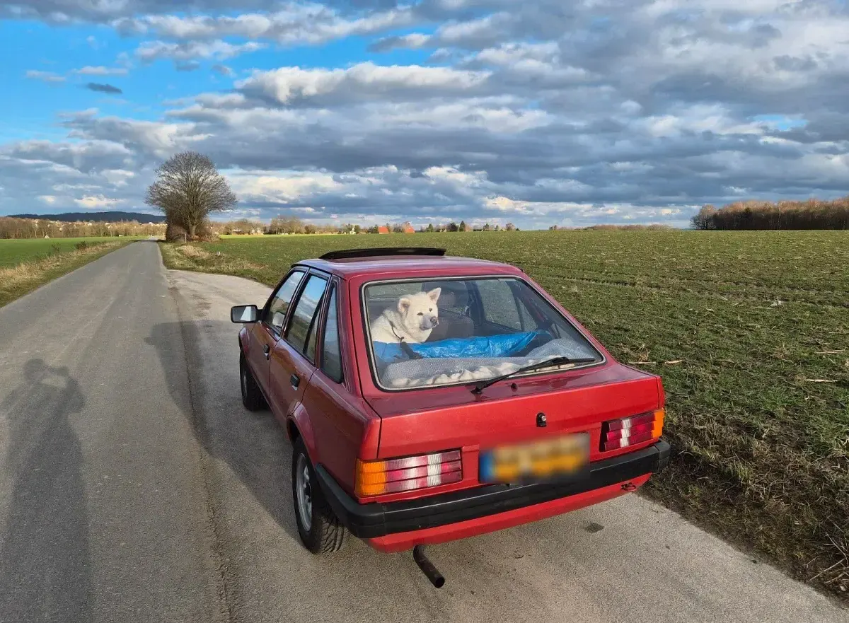 Gebraucht Ford Escort 54 PS (39 kW) 1985 Rot Limousine