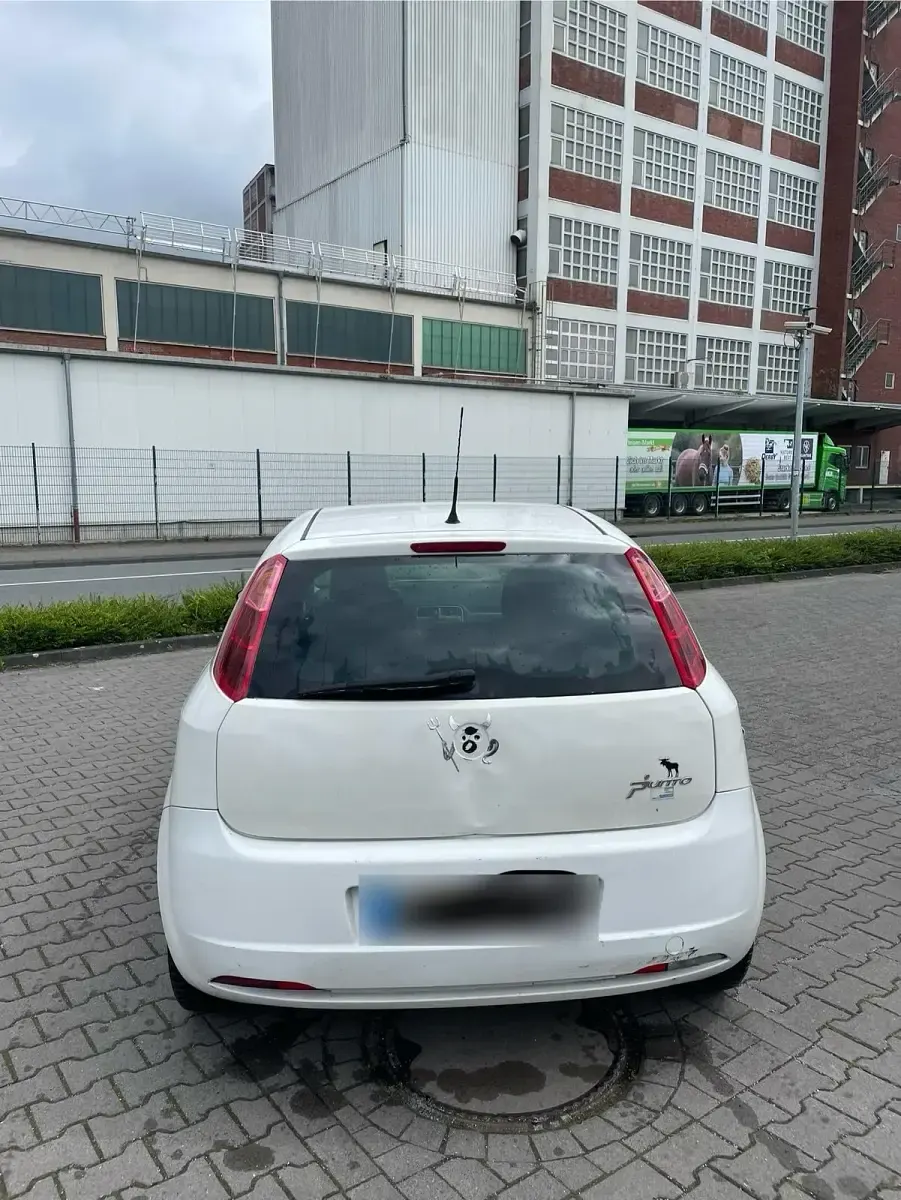Gebraucht Fiat Punto 77 PS (56 kW) 2008 Weiß Kleinwagen