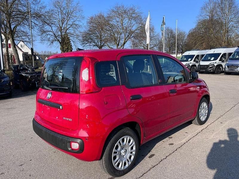Neu Fiat Panda 65 PS (47 kW) 2026 Rot Kleinwagen