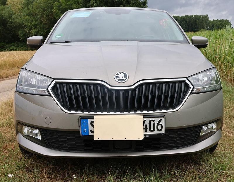 Braun Gebraucht 2019 Skoda Fabia Active Kombi | 10.400 € (Guter Preis) - Bild 1/4