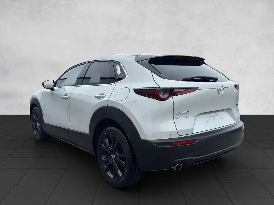 Neu Mazda CX-30 Homura-Line 140 PS (102 kW) 2026 SUV