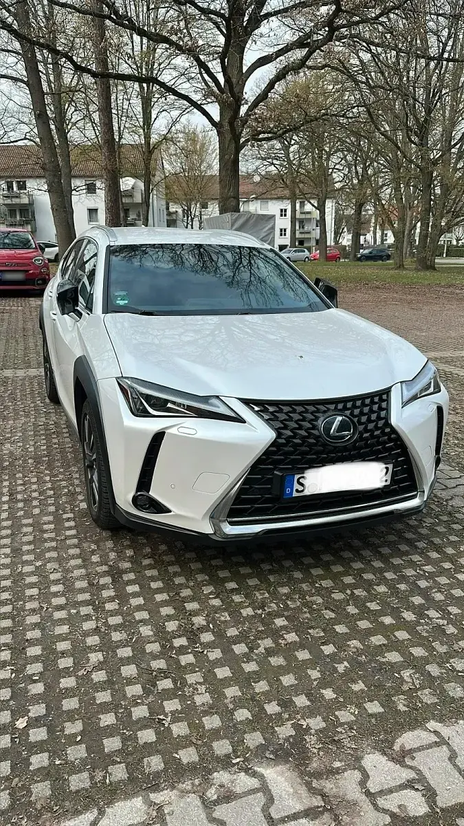 Gebraucht Lexus UX 250h 184 PS (135 kW) 2021 Weiß SUV