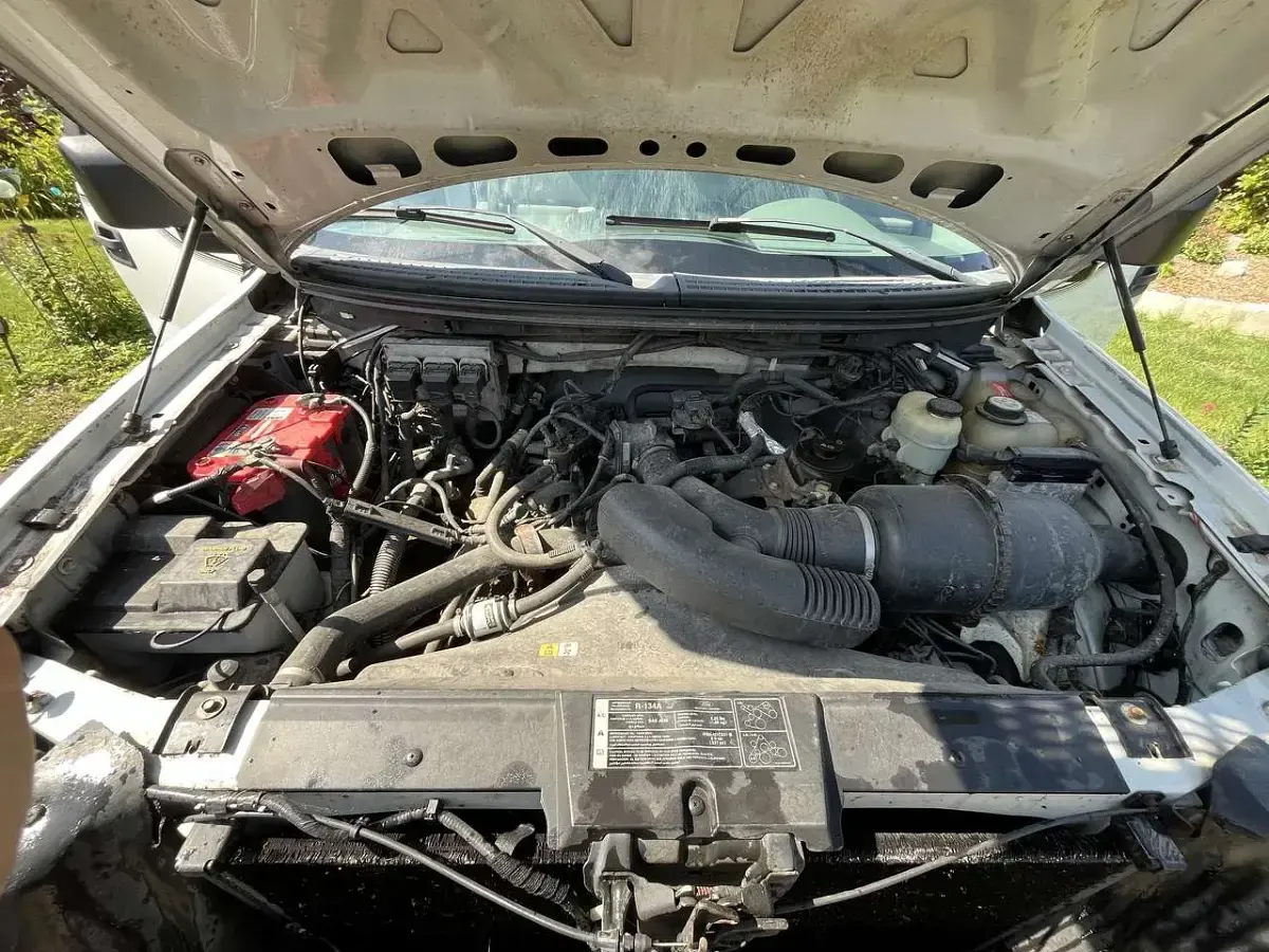 Gebraucht Ford F-150 252 PS (185 kW) 2007 Weiß Pickup