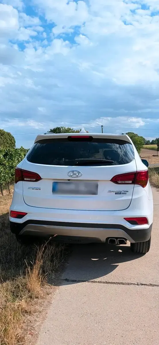 Gebraucht Hyundai Santa Fe Premium 200 PS (147 kW) 2017 Weiß SUV