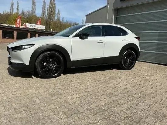 Gebraucht Mazda CX-30 Sky 140 PS (102 kW) 2025 Ceramic white SUV