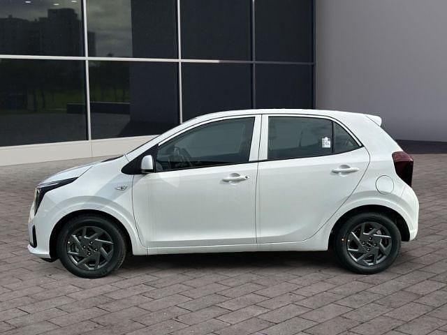 Neu Kia Picanto Vision 79 PS (58 kW) 2025 Clear white (weiss) Kleinwagen