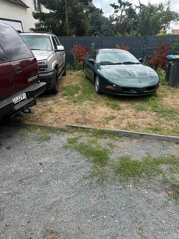 Gebraucht Pontiac Firebird 196 PS (144 kW) 1995 Grün Cabrio