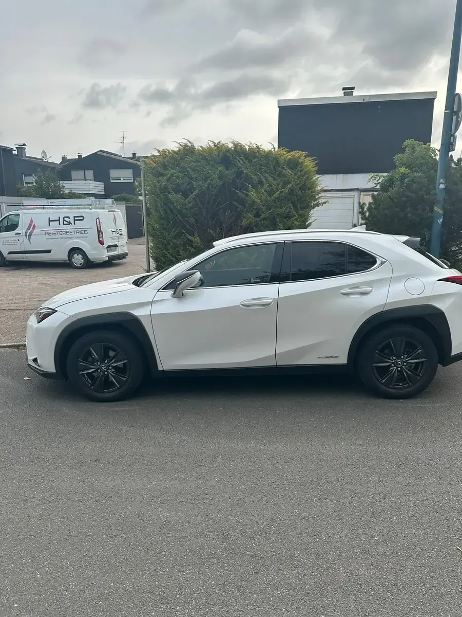 Gebraucht Lexus UX 152 PS (111 kW) 2020 Weiß SUV