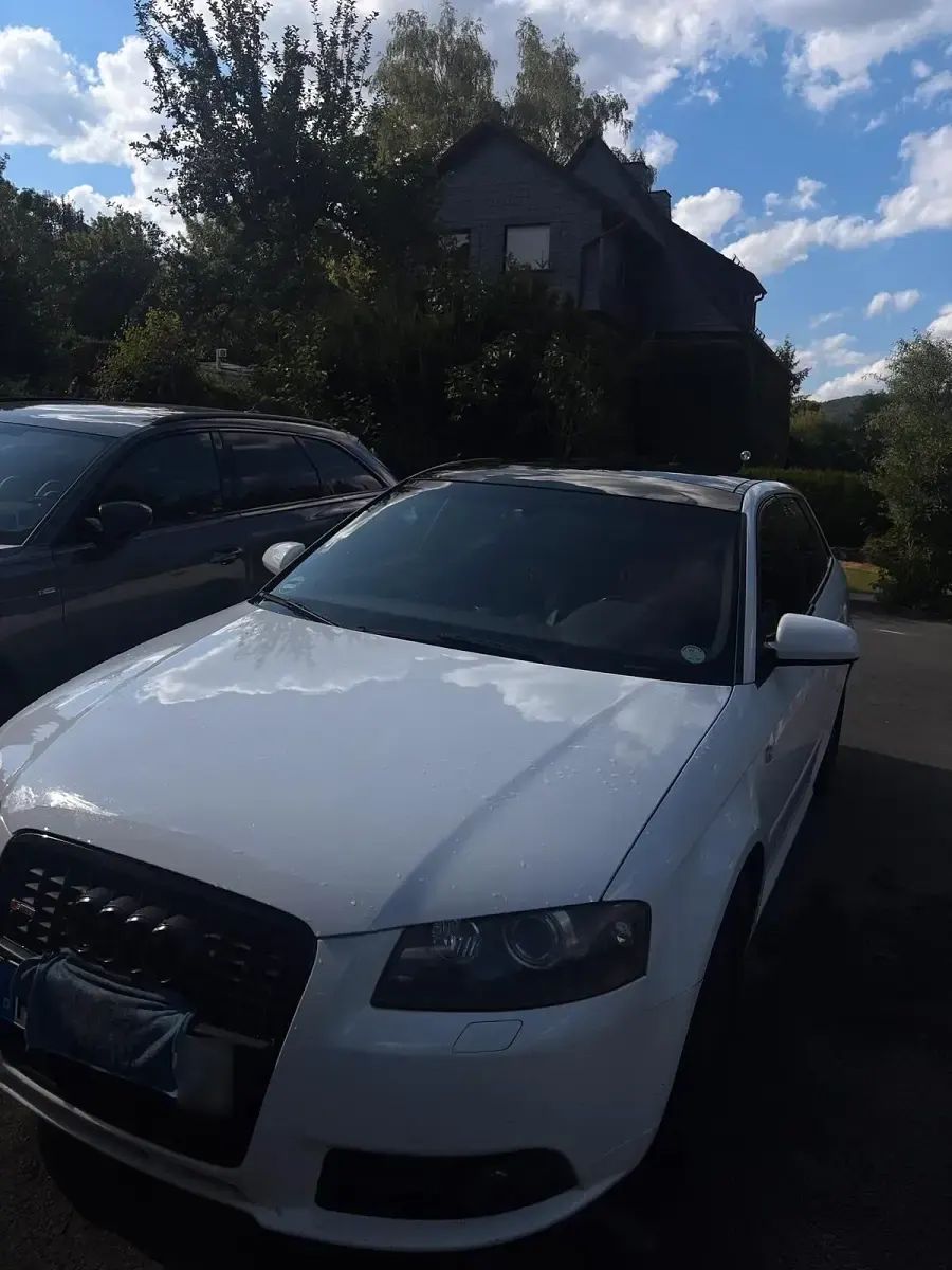 Gebraucht Audi A3 Sportback 170 PS (125 kW) 2007 Weiß Kleinwagen
