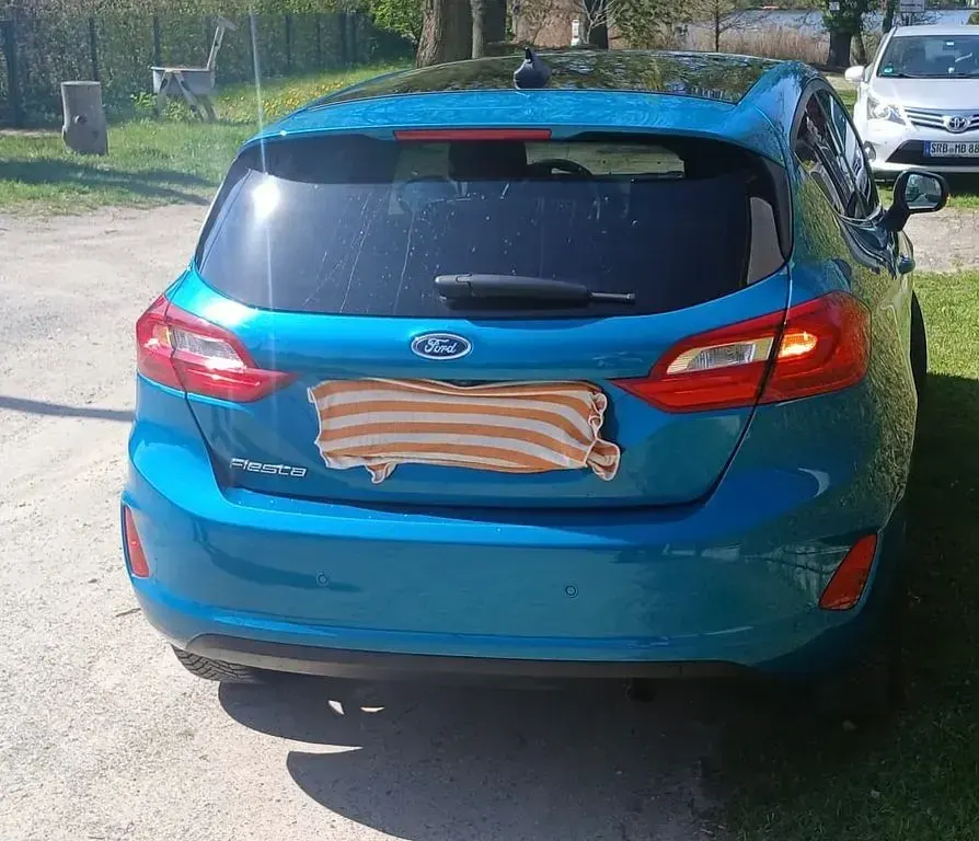 Gebraucht Ford Fiesta Titanium 101 PS (74 kW) 2019 Grün Kleinwagen