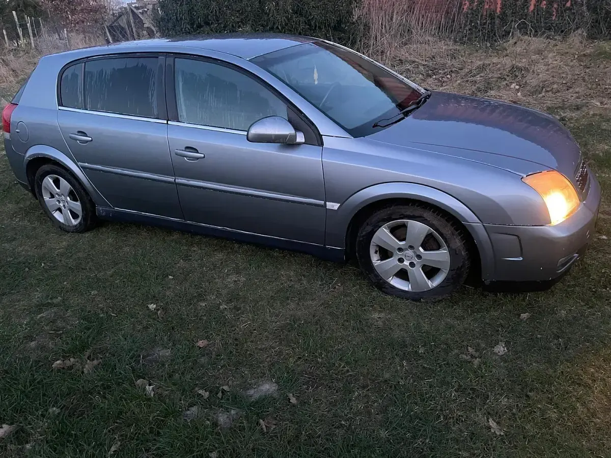 Second-hand Opel Signum 125 CP (91 kW) 2003 Gri Hatchback