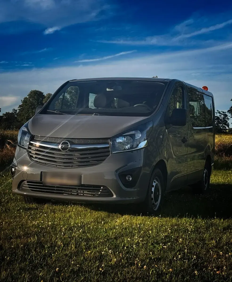 Gebraucht Opel Vivaro 2018 Grau Van / Kleinbus