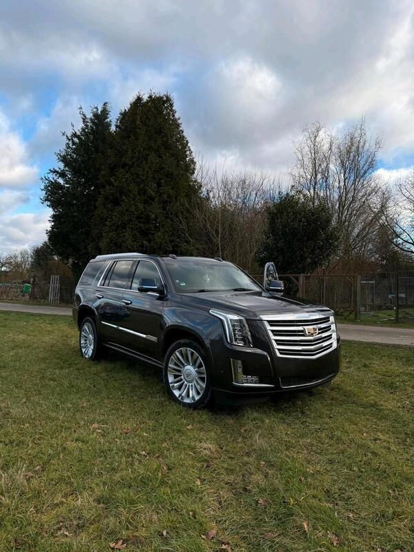 Andere außenfarben Gebraucht 2017 Cadillac Escalade SUV | 41.500 € (Superpreis) - Bild 1/4