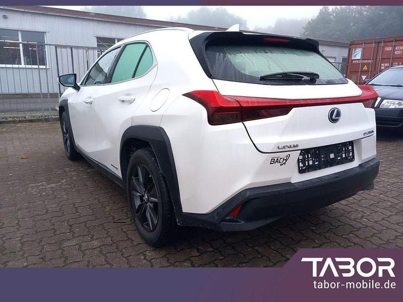 Gebraucht Lexus UX 250h Launch Edition 184 PS (135 kW) 2019 Weiss SUV