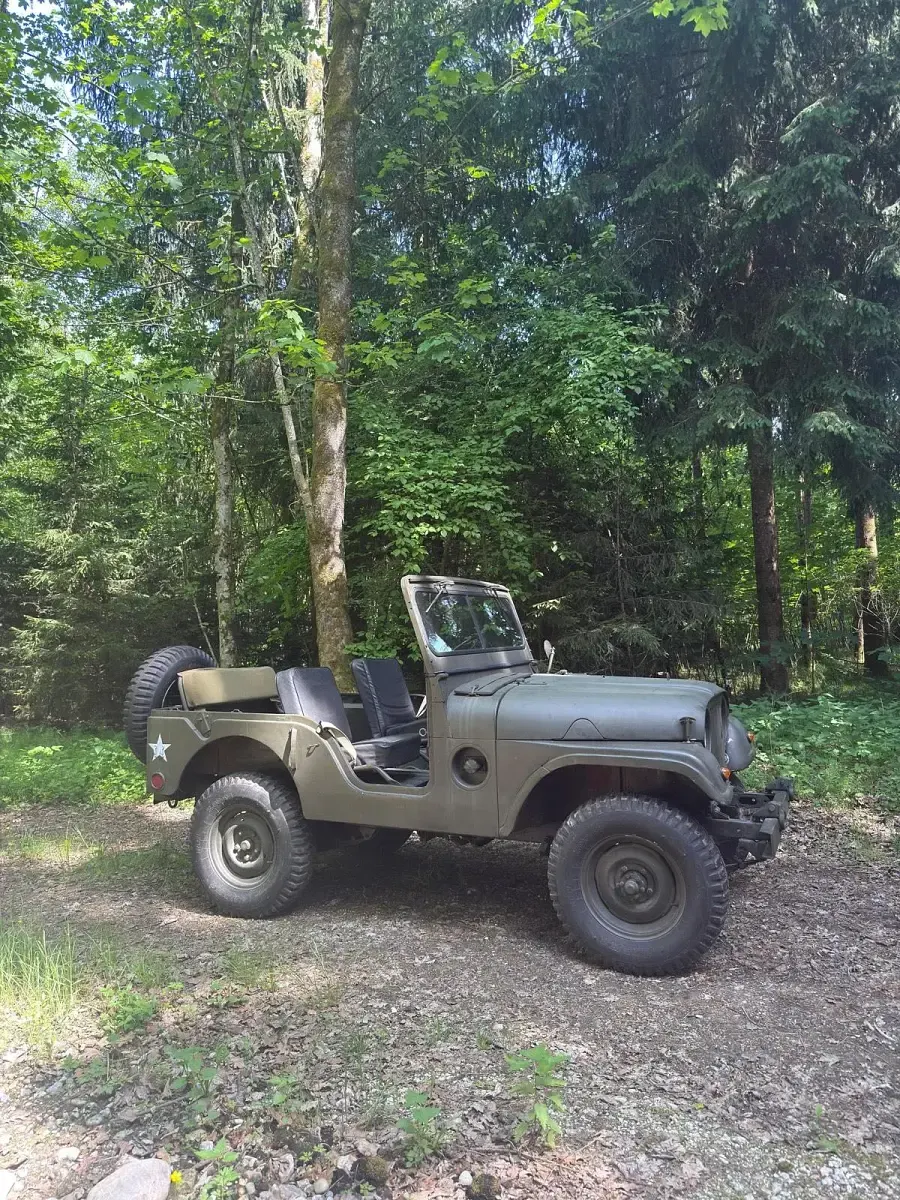 Gebraucht Jeep Willys 72 PS (52 kW) 1952 Beige SUV