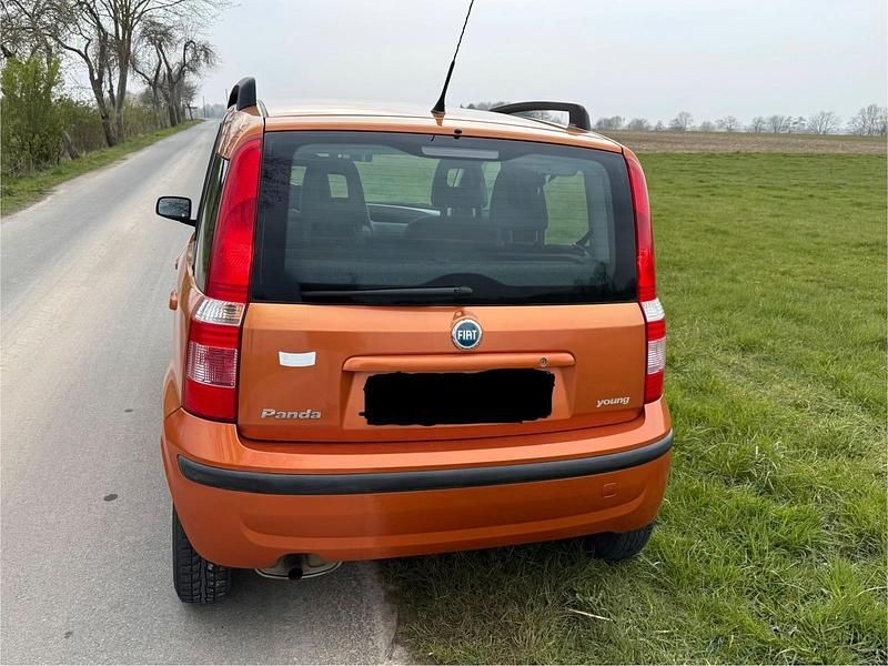 Gebraucht Fiat Panda Active 54 PS (39 kW) 2007 Orange Kleinwagen