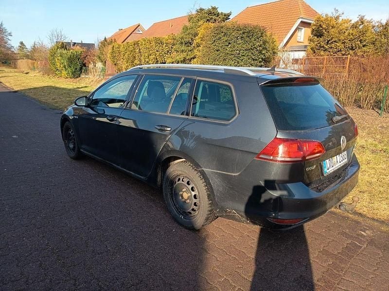 Gebraucht VW Golf VII Allstar 110 PS (80 kW) 2016 Grau Kombi