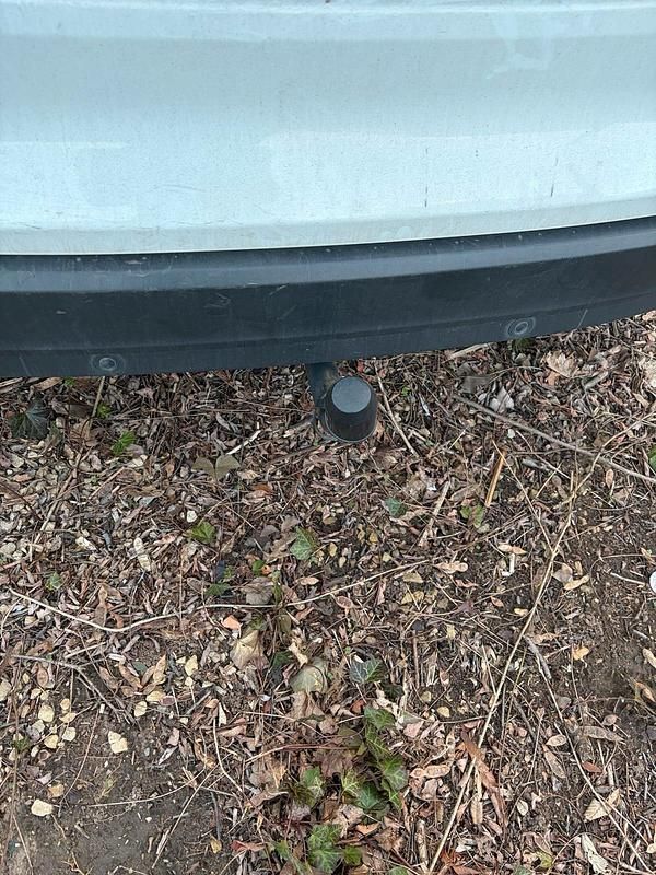 Gebraucht Ford Focus 125 PS (91 kW) 2014 Weiß Kombi