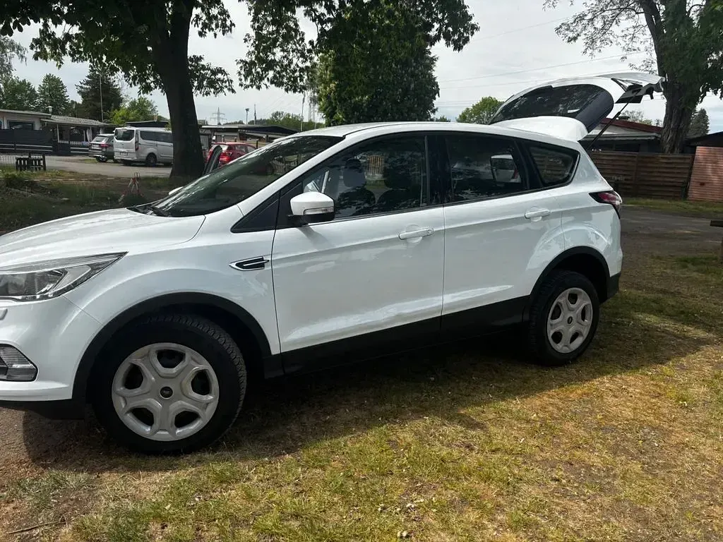 Usado Ford Kuga Trend 120 HP (88 kW) 2019 Branco SUV