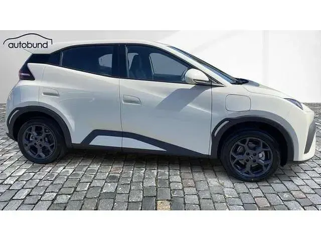Neu BYD Dolphin Boost 64 kW (88 PS) 2026 Kleinwagen