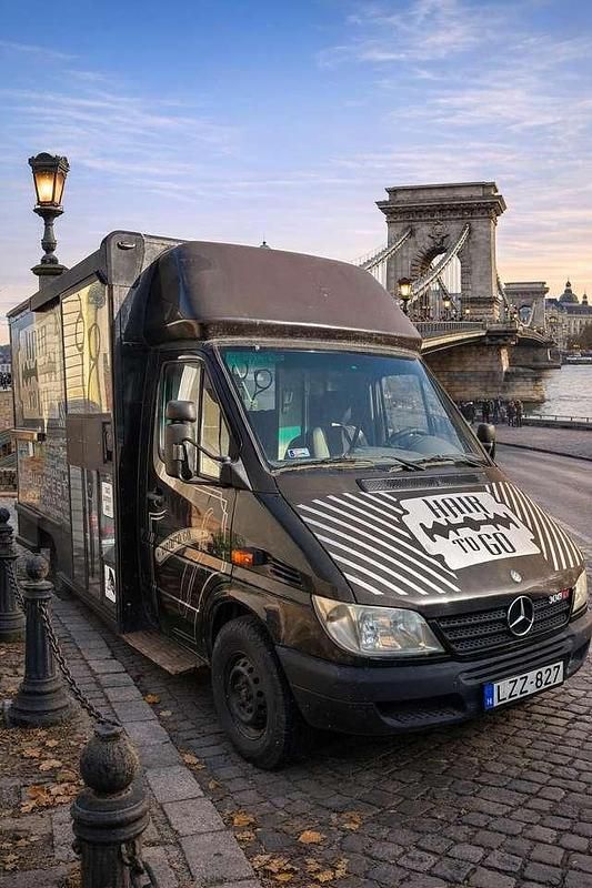 Gebraucht Mercedes Sprinter 82 PS (60 kW) 2005 Braun Van