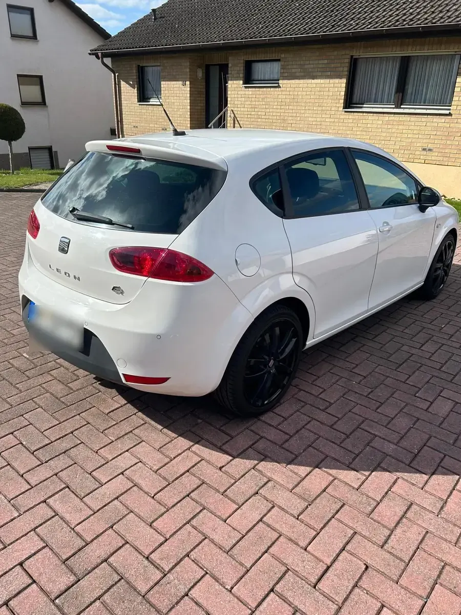 Usata Seat Leon FR 170 CV (125 kW) 2010 Bianco Utilitaria