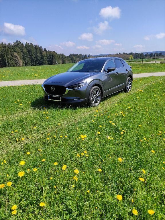 Grau Gebraucht 2019 Mazda CX-30 Selection SUV | 22.999 € (Fairer Preis) - Bild 1/4