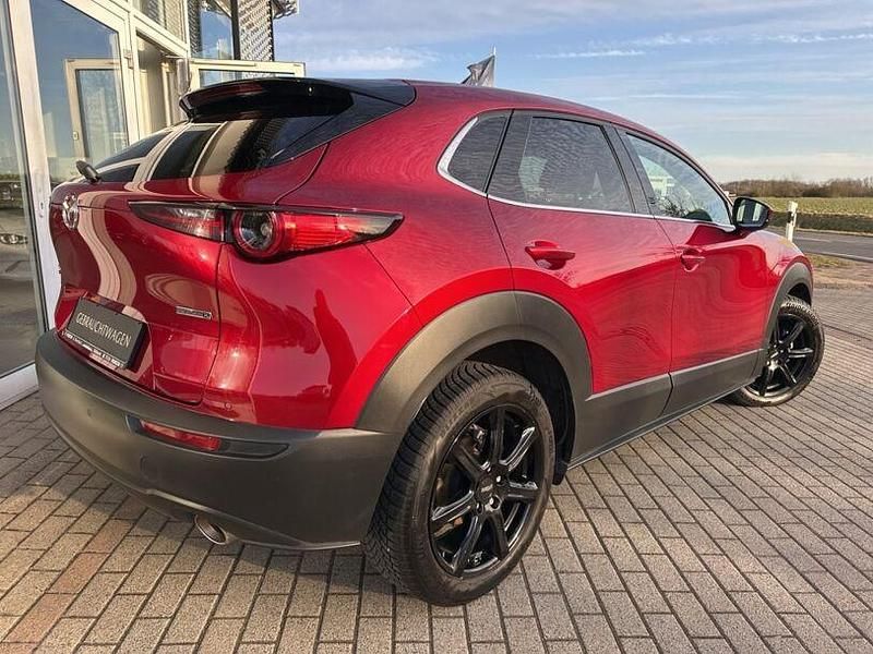 Gebraucht Mazda CX-30 Selection 186 PS (136 kW) 2023 Rot SUV
