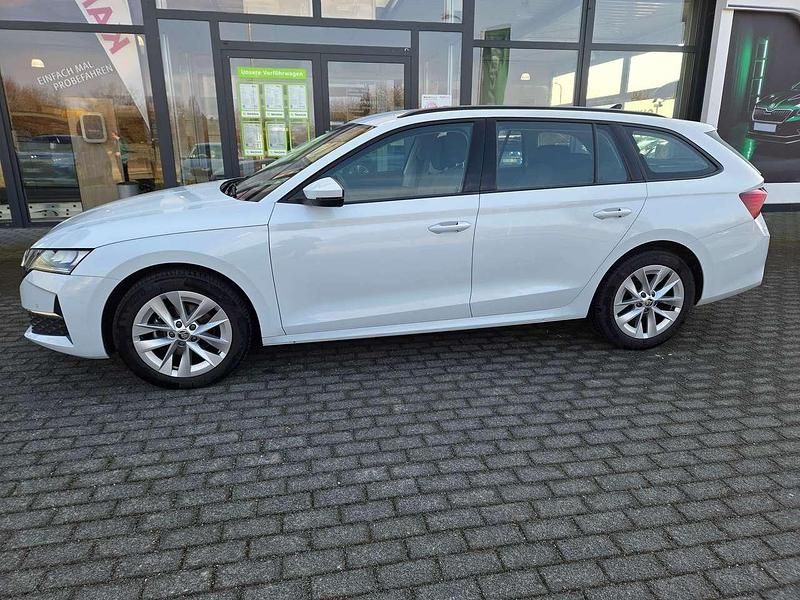 Gebraucht Skoda Octavia Selection 150 PS (110 kW) 2024 Moonweiss perleffekt (metallic) Kombi