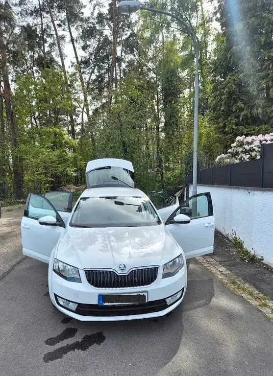 Gebraucht Skoda Octavia Active 105 PS (77 kW) 2015 Weiß Kombi